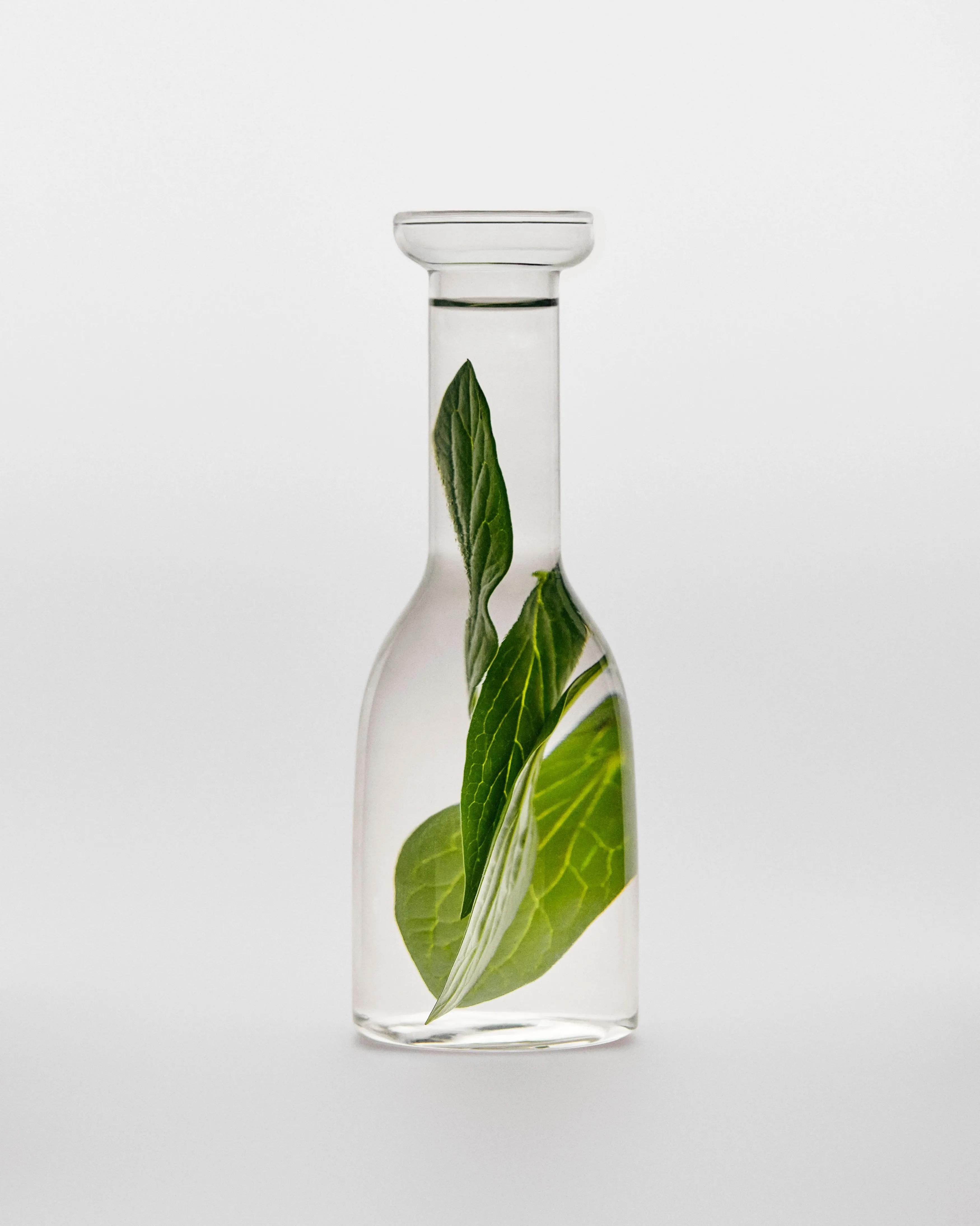 2025_PUIG_BODEGONES10074 HR1 (2).webp