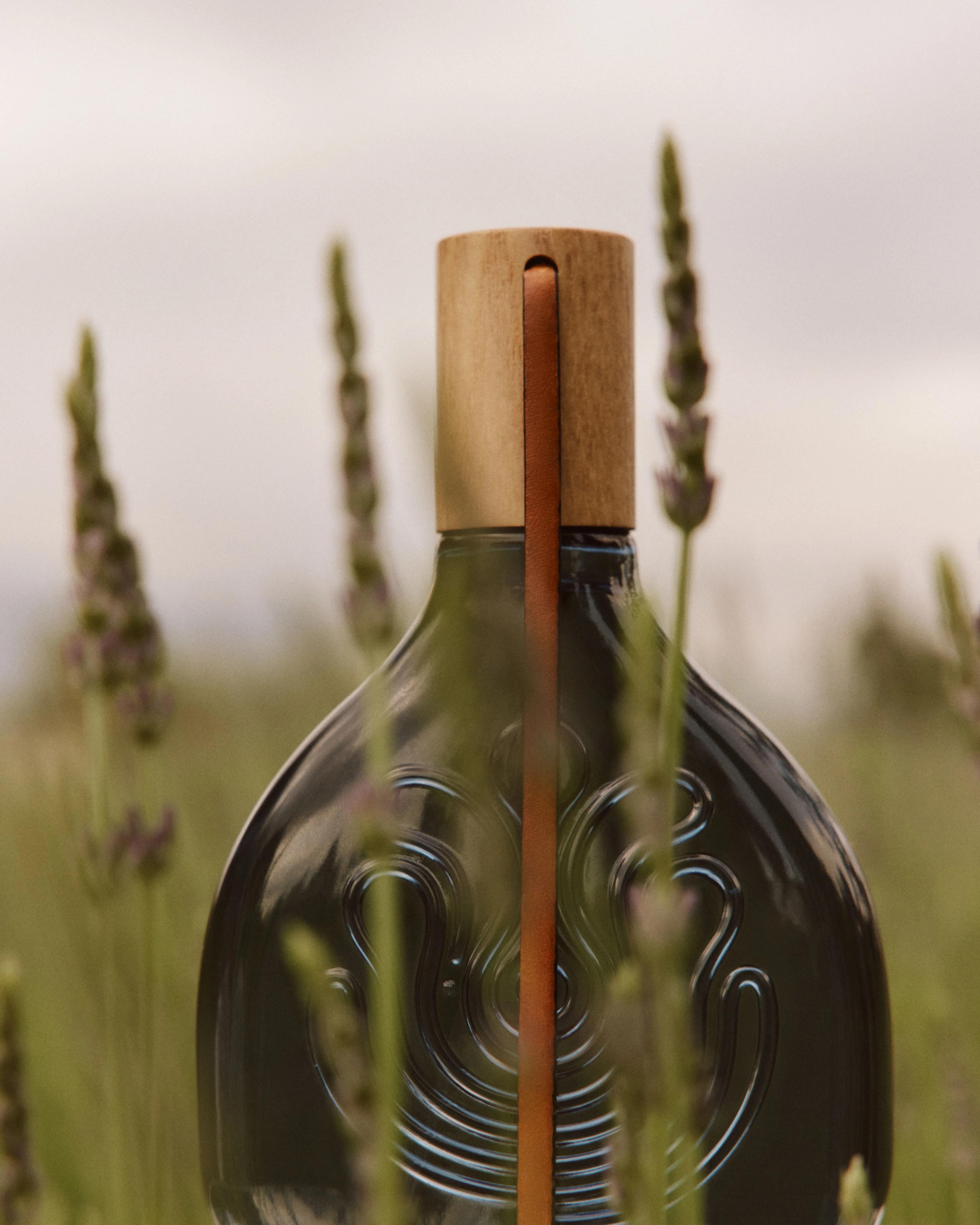 Agua Lavanda fragrance bottle by Puig shown among lavender plants, with a soft natural background.