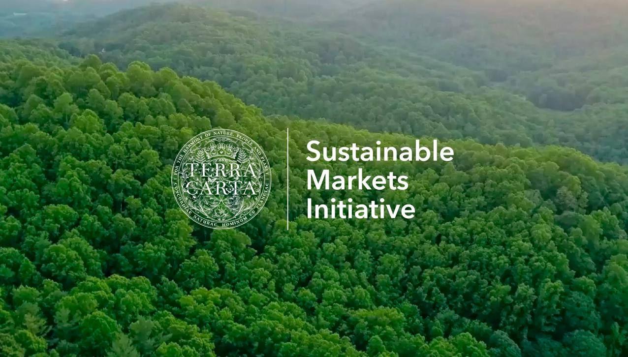 Terra Carta and Sustainable Markets Initiative logos over a forested mountain landscape